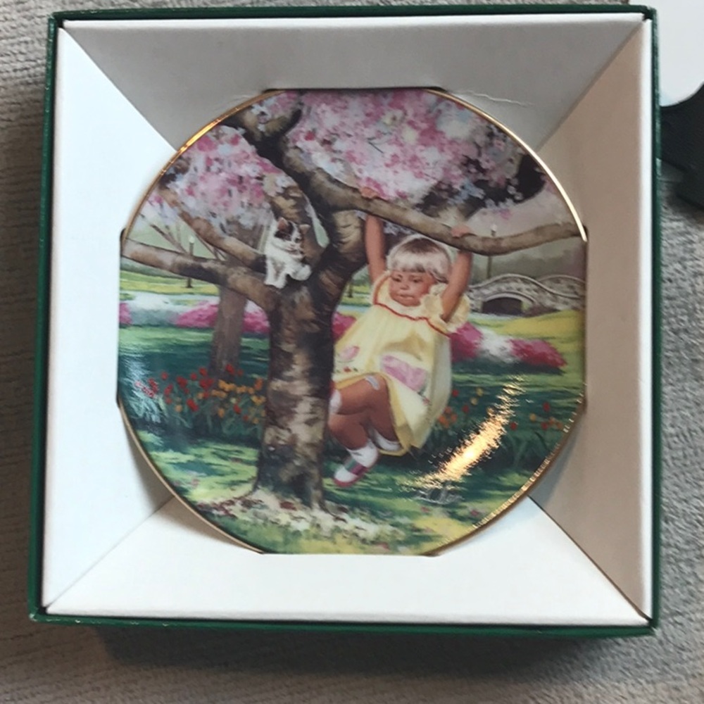 - Donald zolan mini plate collectible